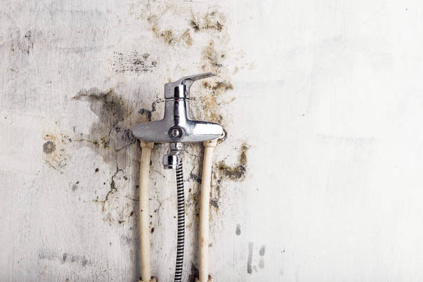Best Mold Testing  in Malakoff, TX