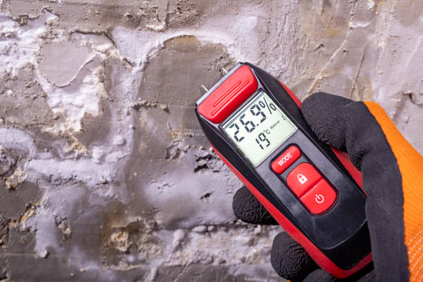 Attic Mold Removal in Malakoff, TX