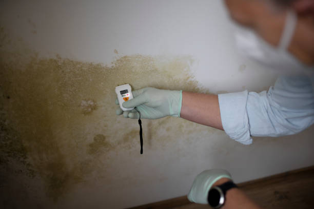 Best Professional Mold Removal  in Malakoff, TX