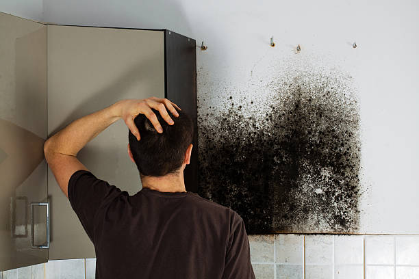 Best Residential Mold Removal  in Malakoff, TX